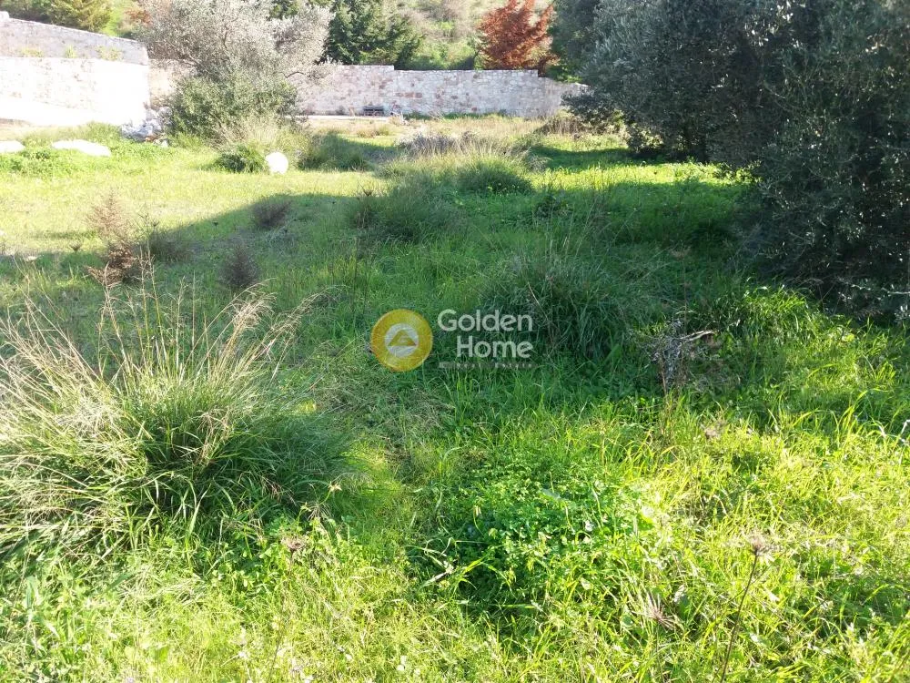 Jardin - Semi-Finished Villa with Garden in Keratea