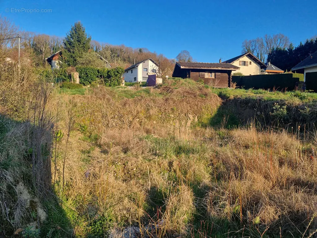 Jardin - Terrain Viabilisé avec Jardin à Entrelacs