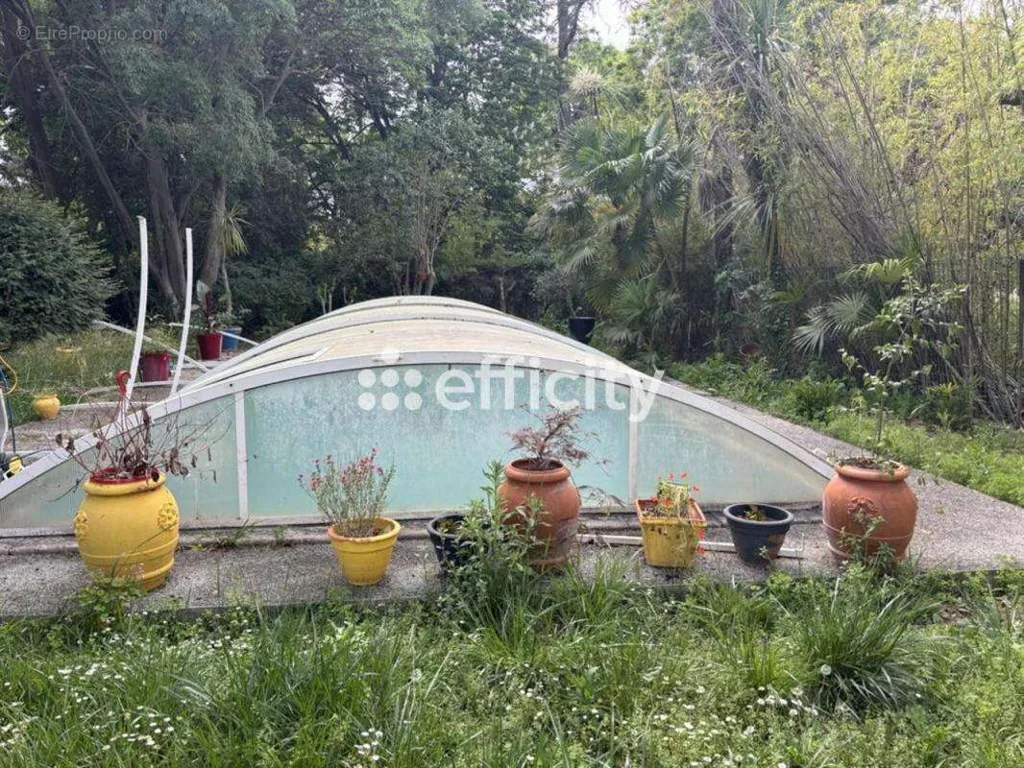Piscine - Maison de Maître avec Piscine à Béziers