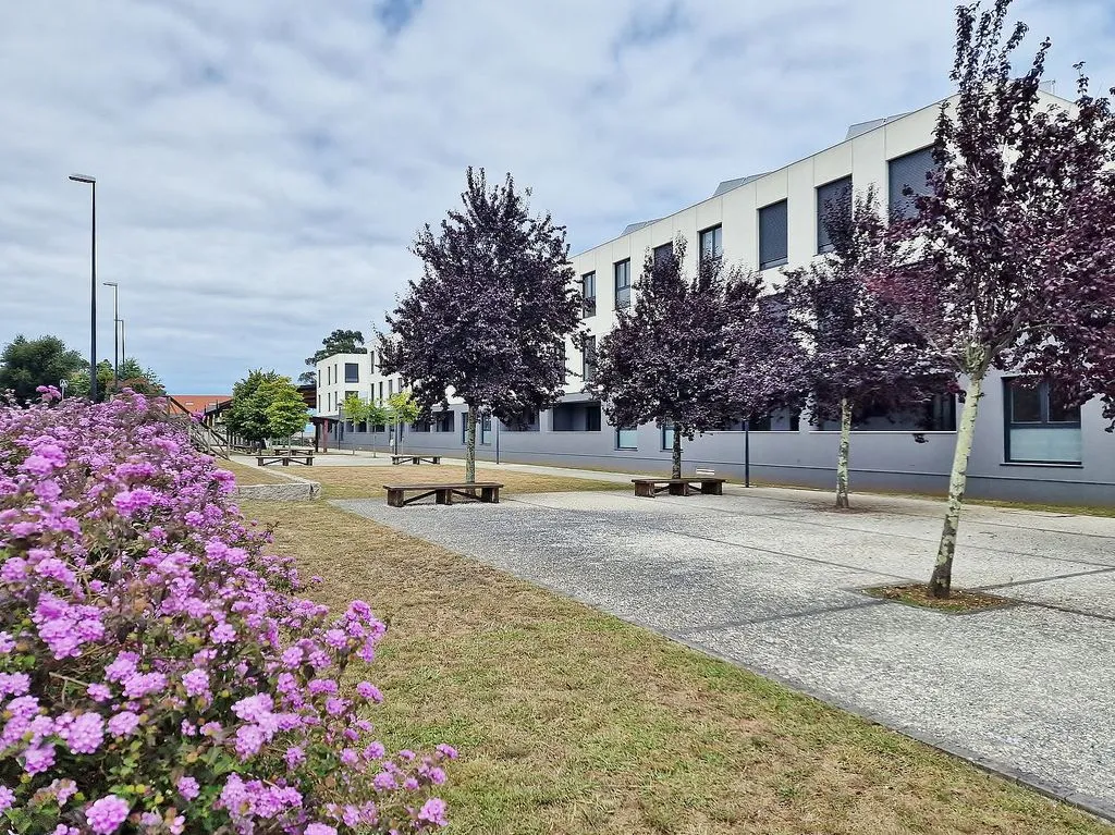 Garden - Modern Flat with Terrace in Santa Cruz