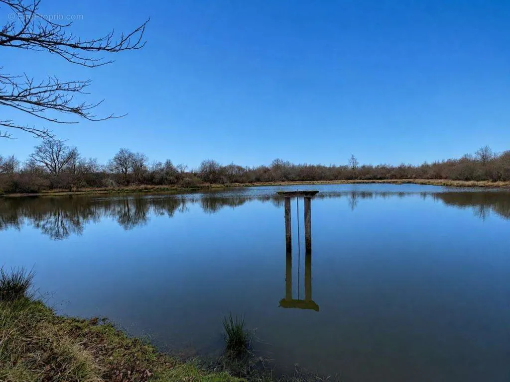 Terrain à Chateauroux