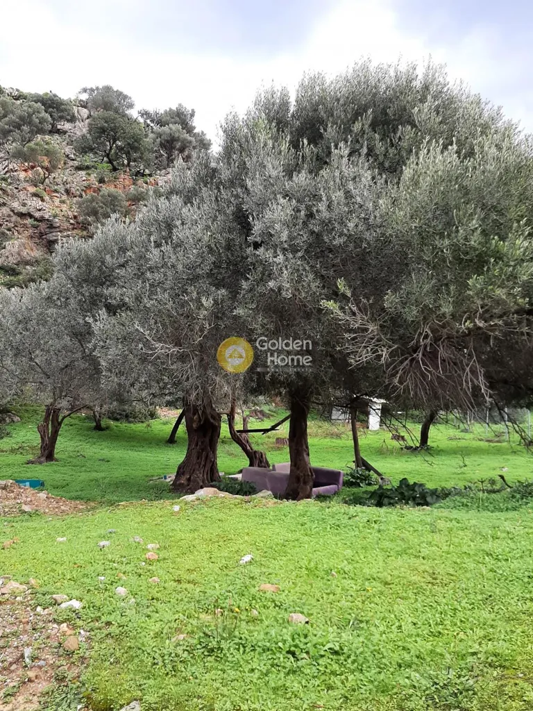 Aed - Buildable Plot with Mountain View in Malévizi