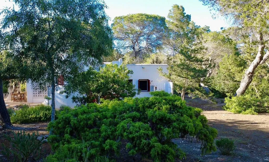 Aed - Rural House with Terrace in Formentera