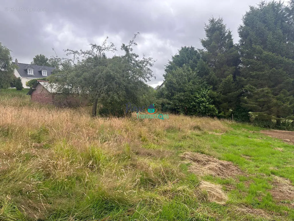 Aed - Buildable Plot with Utilities near Bolbec