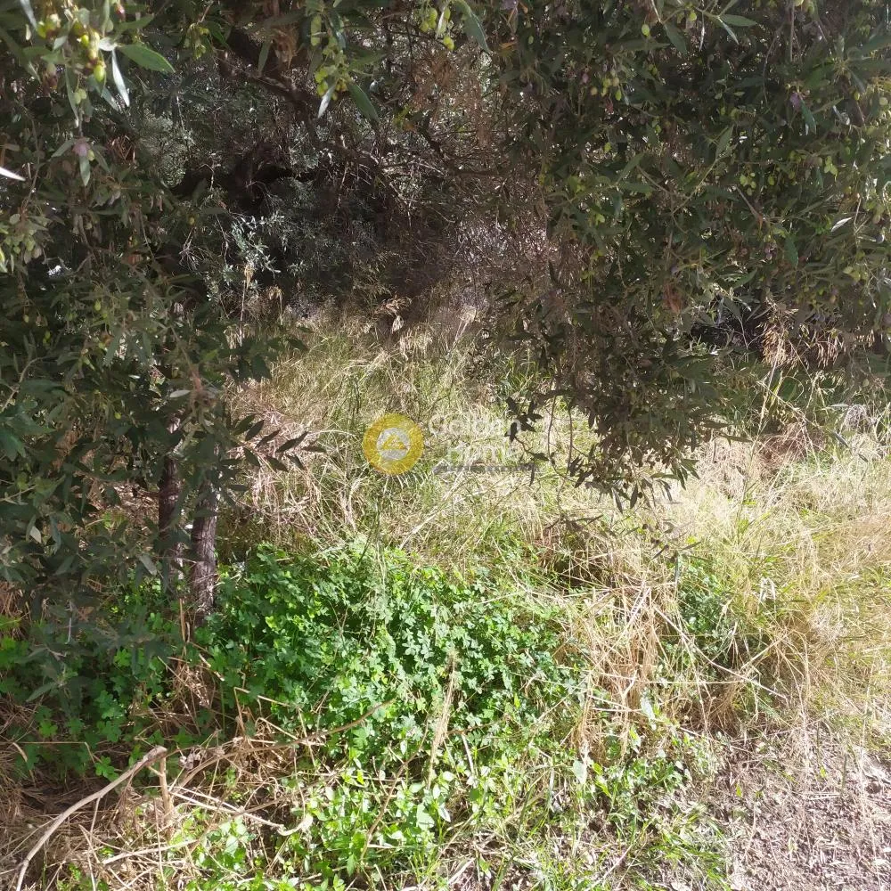 Giardino - Buildable Plot with Sea View in Agios Ioannis Knossou