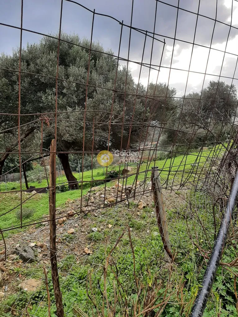 Aed - Buildable Plot with Mountain View in Malévizi