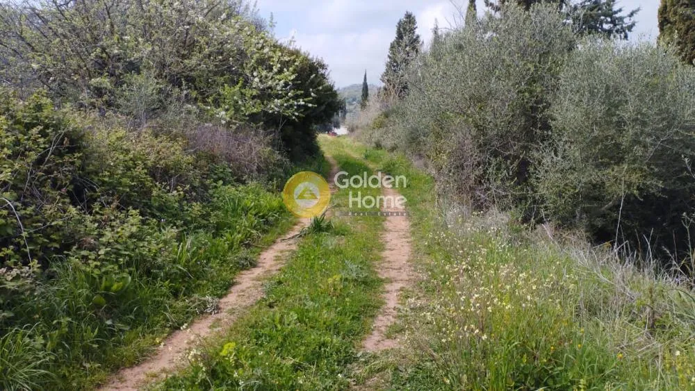 Jardin - Plot with Panoramic Sea View in Zalongo