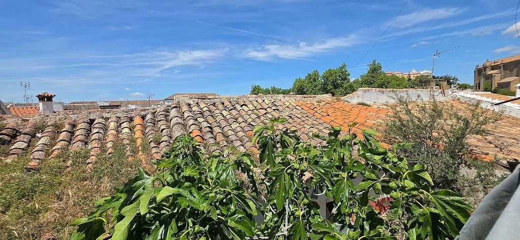 terrace_patio