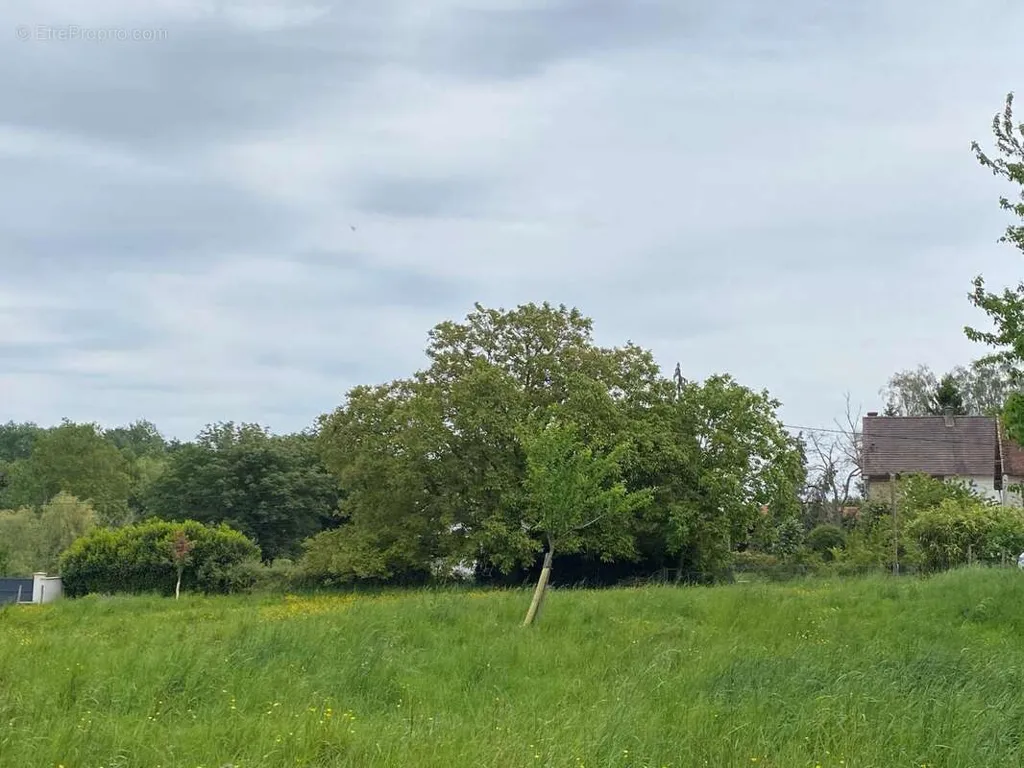 Giardino - Buildable Land in Maisoncelles-en-Brie