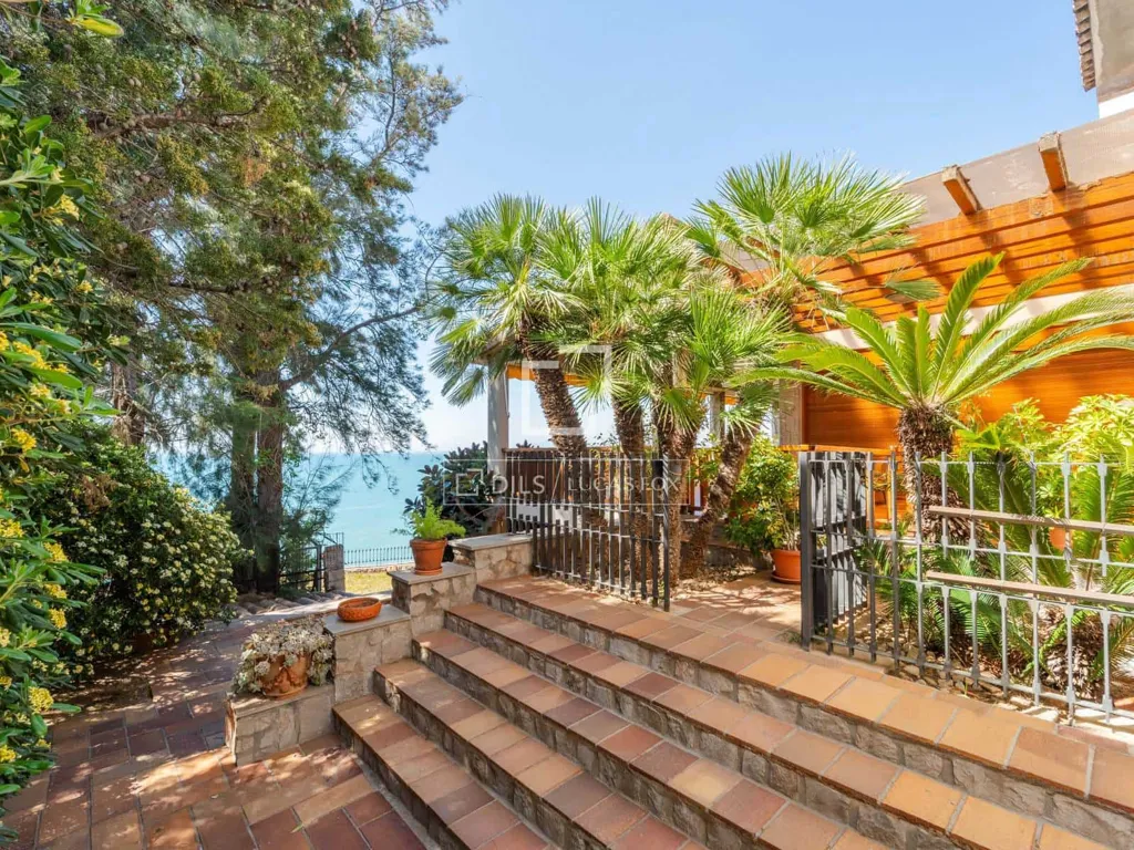 terrace_patio