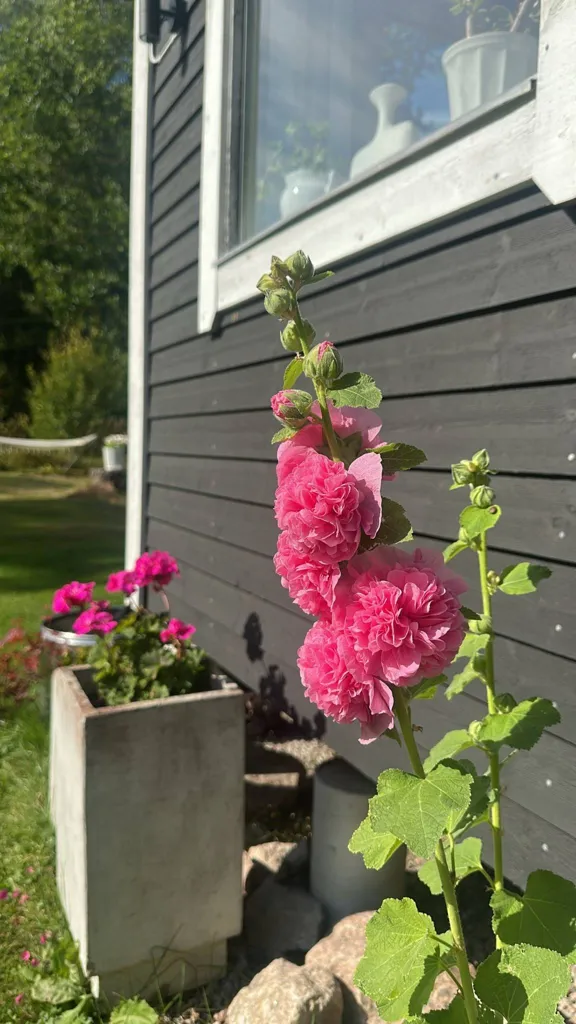 Extérieur - Villa with Garden in Järlåsa