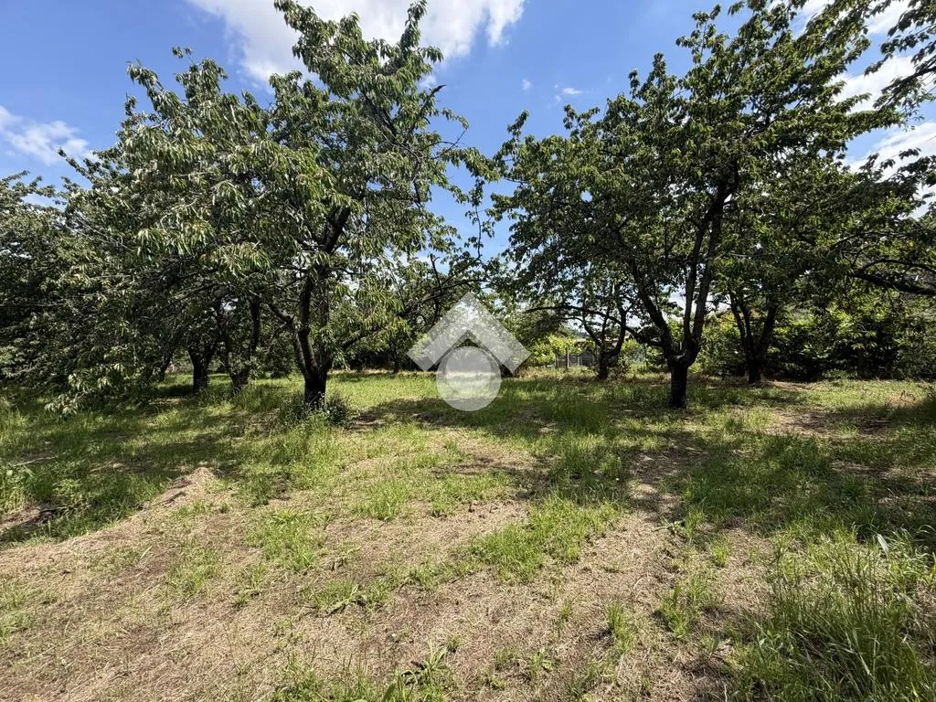 Jardin - Agricultural Land with Cherry Trees in Cervinara