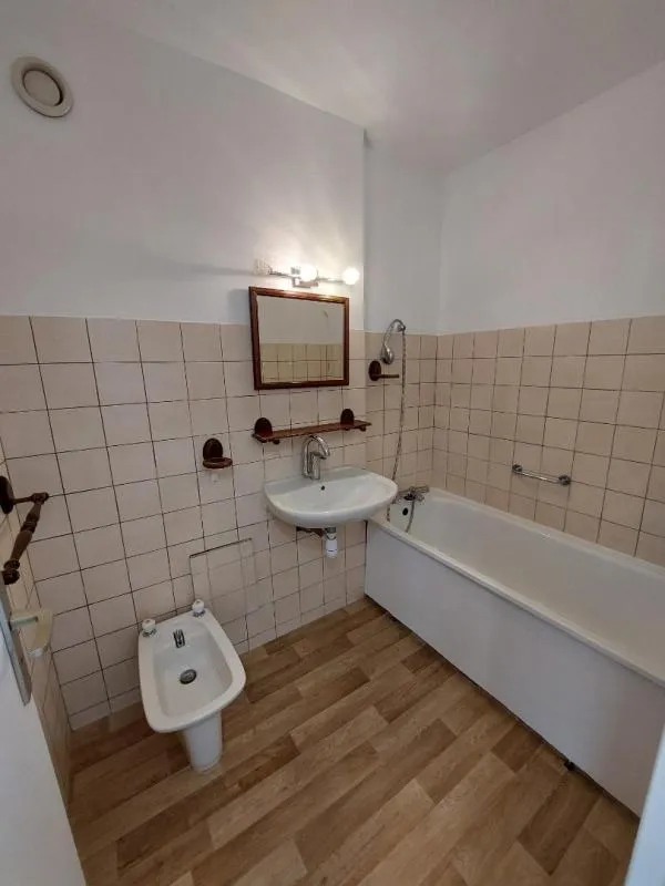 Vannitoad - Refurbished Flat with Balcony in Créteil