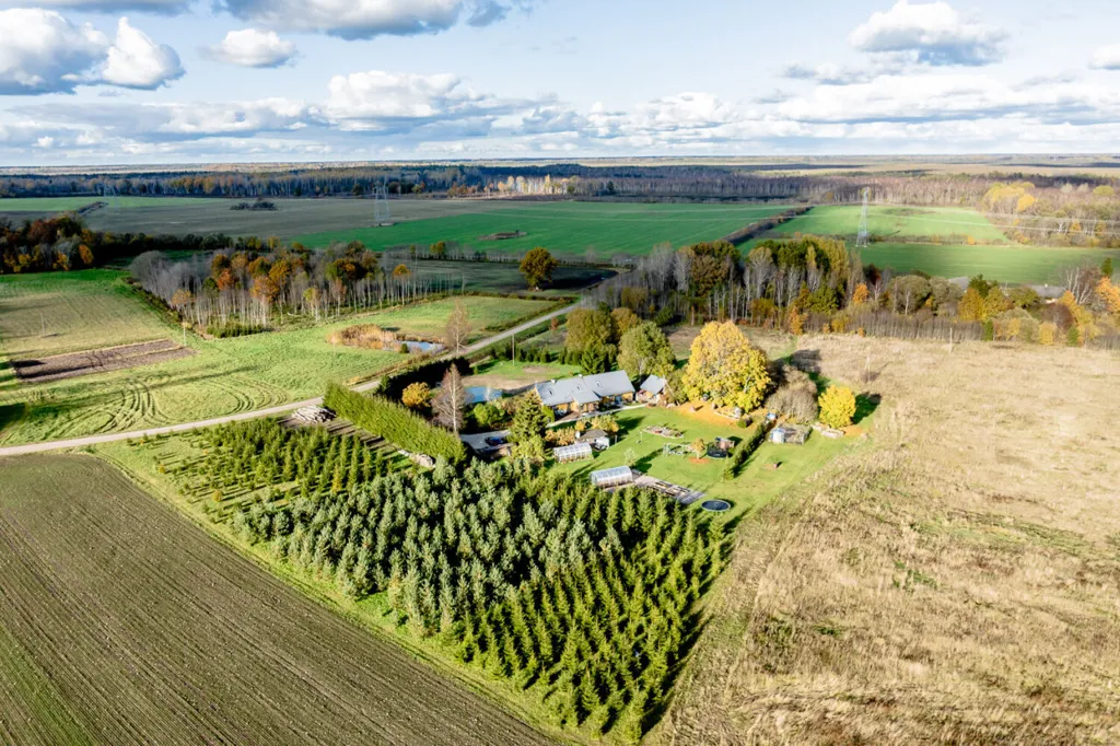 Aerial - Renovated Cottage with Sauna in Soeva