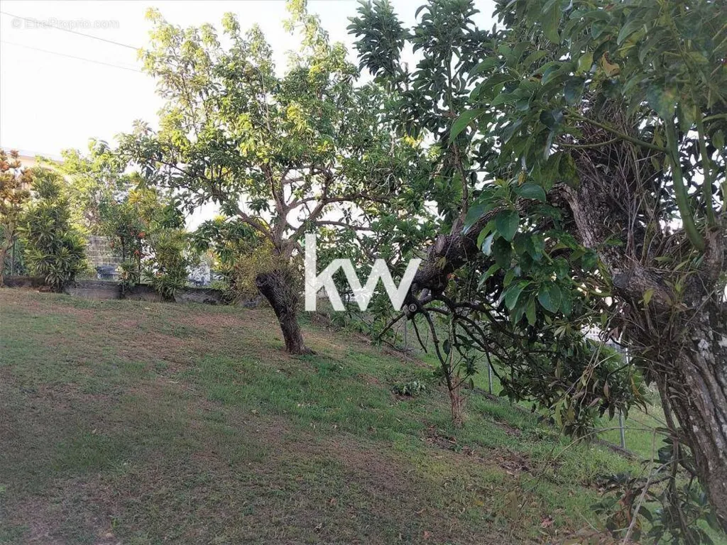 Jardin - Villa F6 avec Vue Mer à Schoelcher
