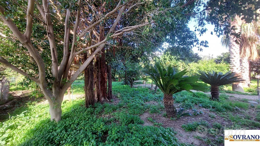 Aed - Rustic Stone Villa in Carini