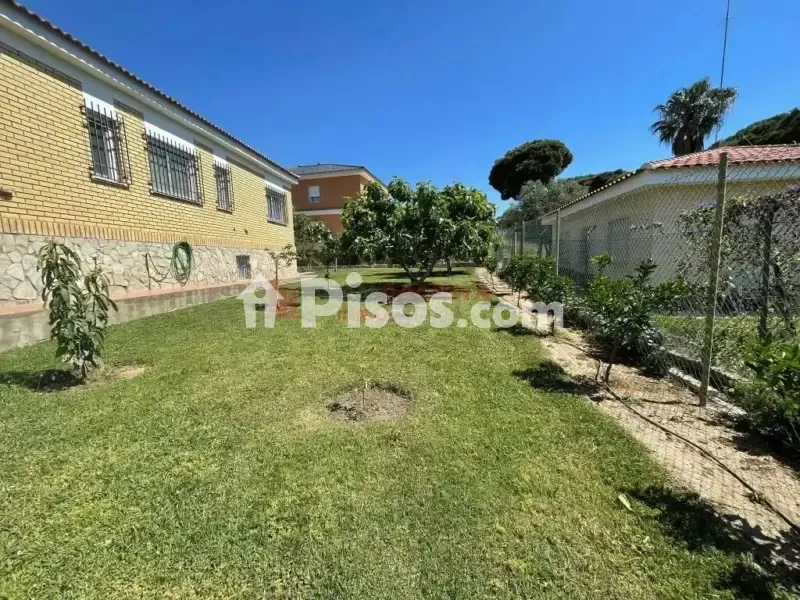 Garden - Chalet with Garden in Isla Cristina