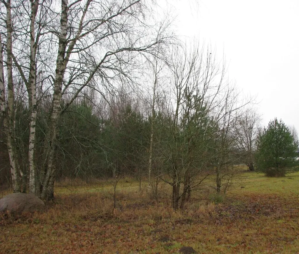 Jardin - Beautifully Located Plot with Development Potential in Estonia