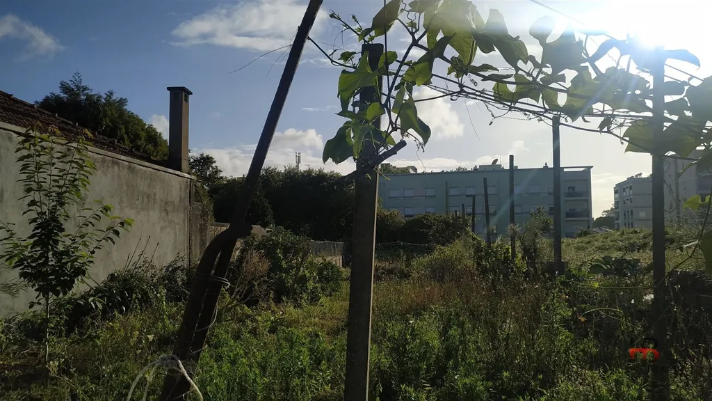 Jardin - Construction Plot with Dual Frontage in Maia