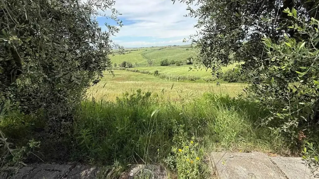 Aed - Rustic Property with Panoramic Views in Santa Luce