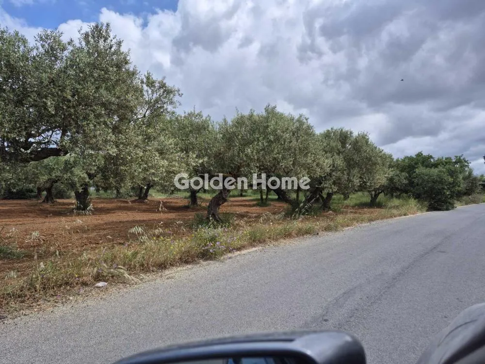 Aed - Buildable Plot with Airport Proximity in Minóa Pedíados