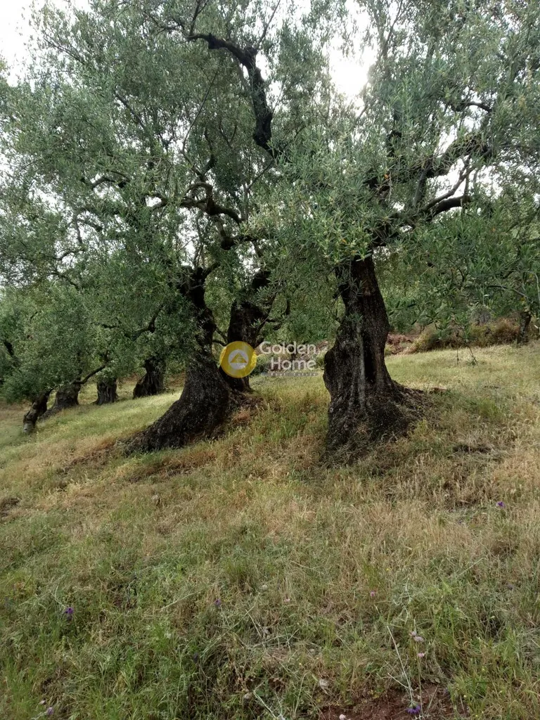 Terrain à GR