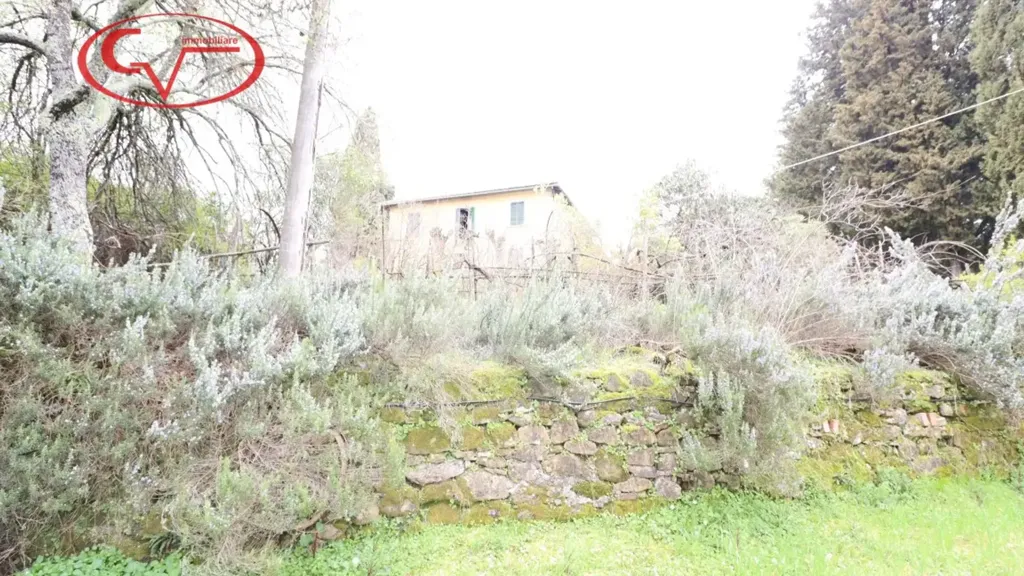 Jardin - Historic Villa with Olive Grove in Montevarchi