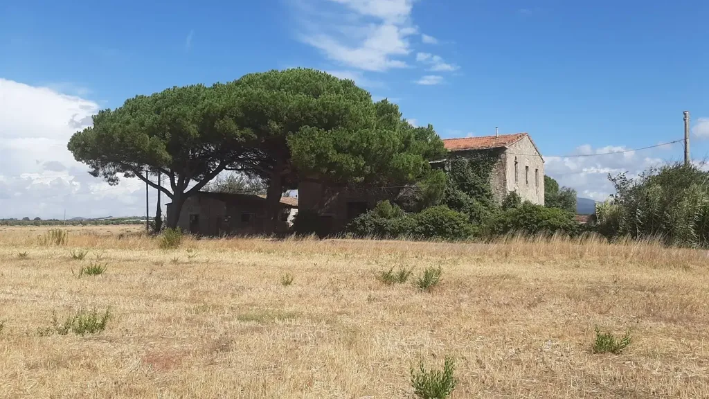 Extérieur - Tuscan Farmhouse with Orchard in Rosignano Marittimo