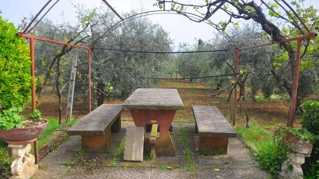 Jardin - Bifamiliar Villa with Olive Grove in Rosignano Marittimo