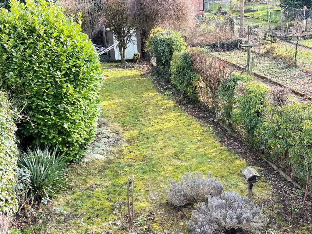 garden