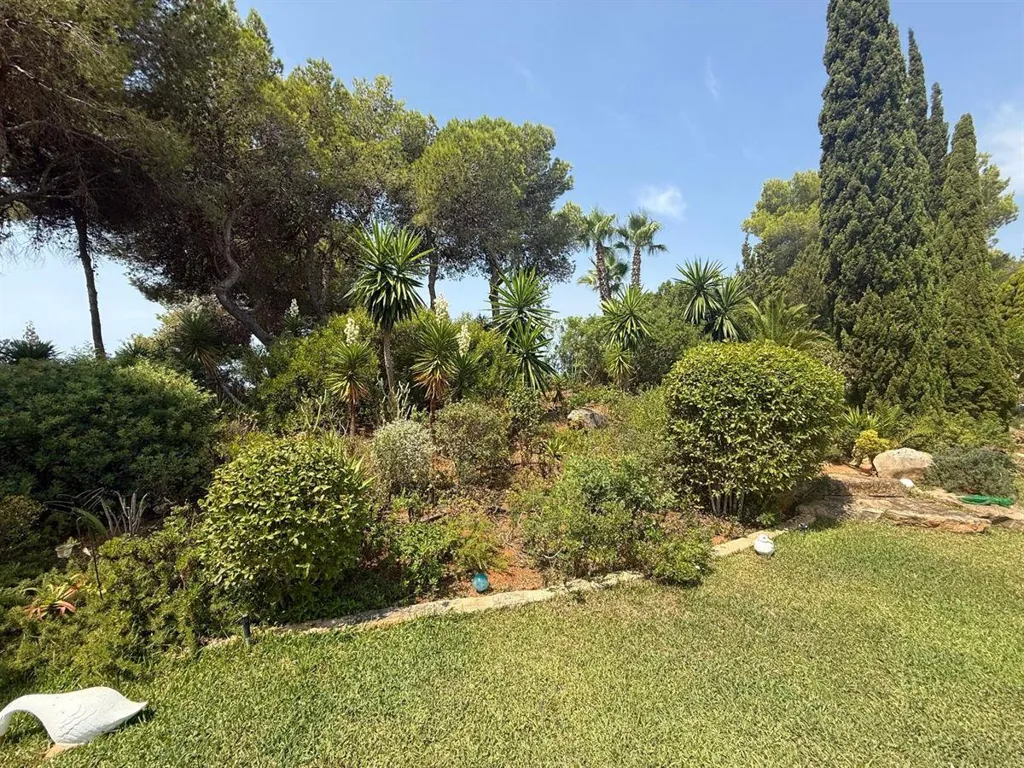 Jardin - Andalusian Villa with Sea View in Santa Eulalia