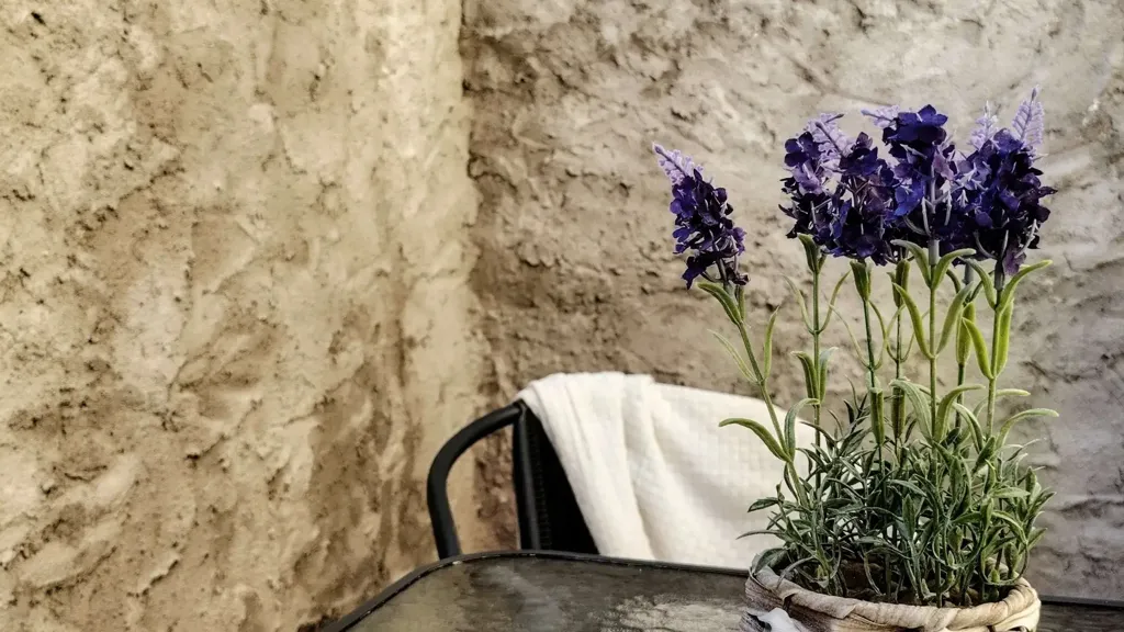 Aed - Studio with Private Courtyard in Cento