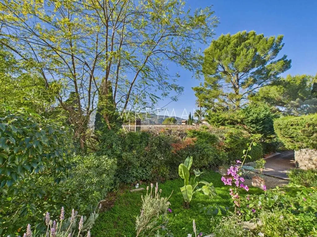 Jardin - Villa 4 Chambres avec Piscine dans un Domaine Privé à Cannes Ouest