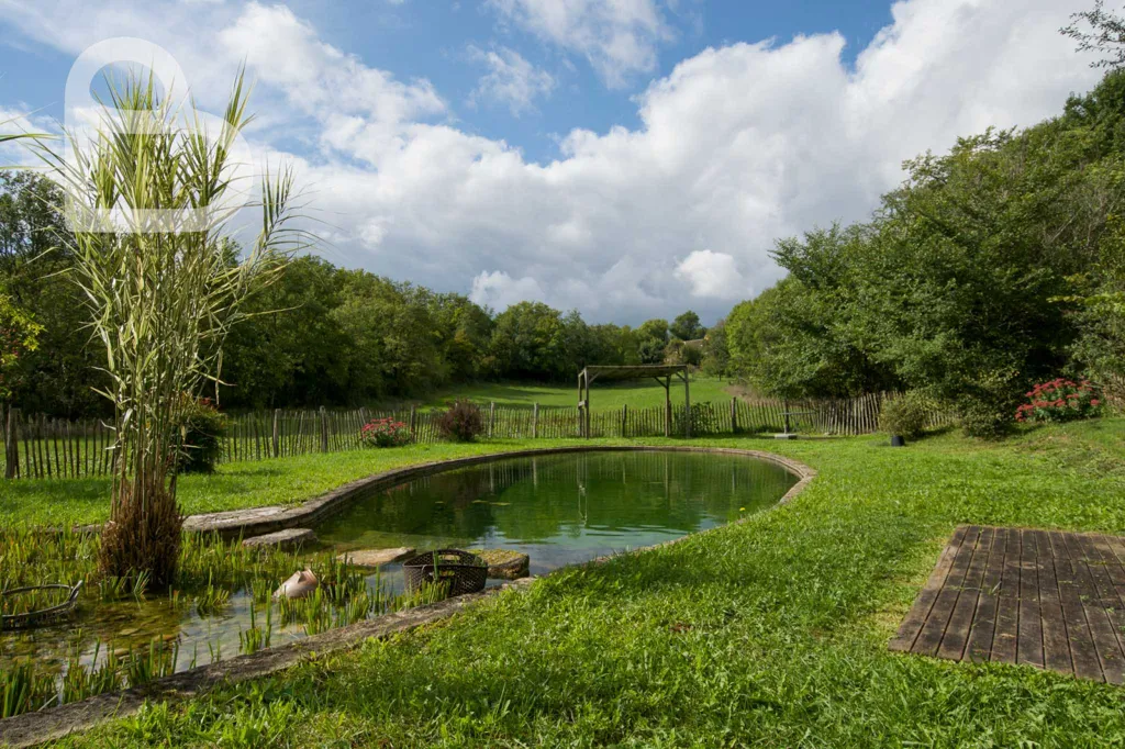 Jardin - Domaine en Pierre avec Bassin à Gourdon