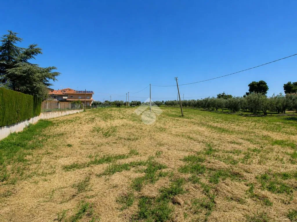 Garden - Buildable Residential Plot in Mosciano Stazione