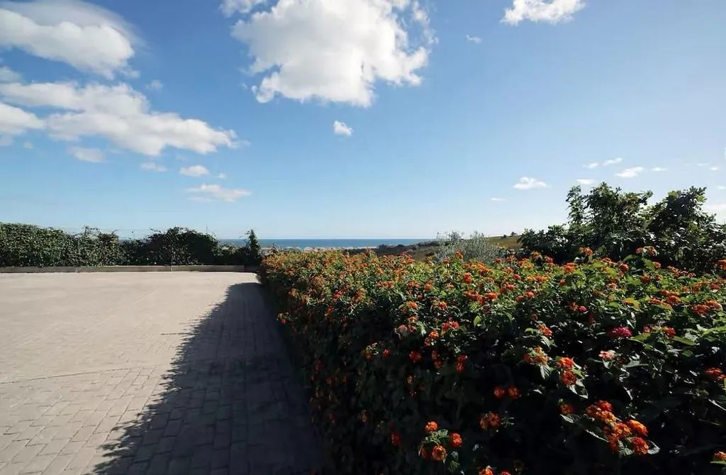 terrace_patio