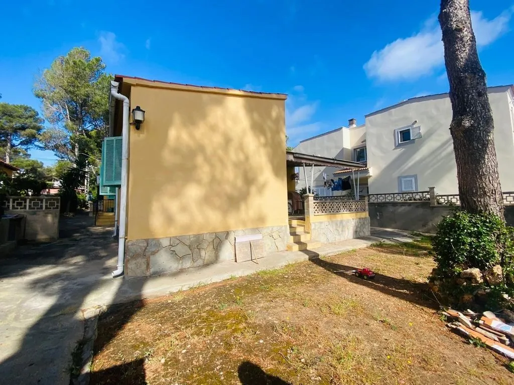 Giardino - Luxury Detached House in El Toro, Calvià