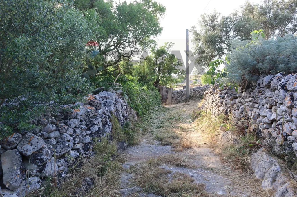 Jardin - Rustic Farmhouse with Private Garden in Ragusa