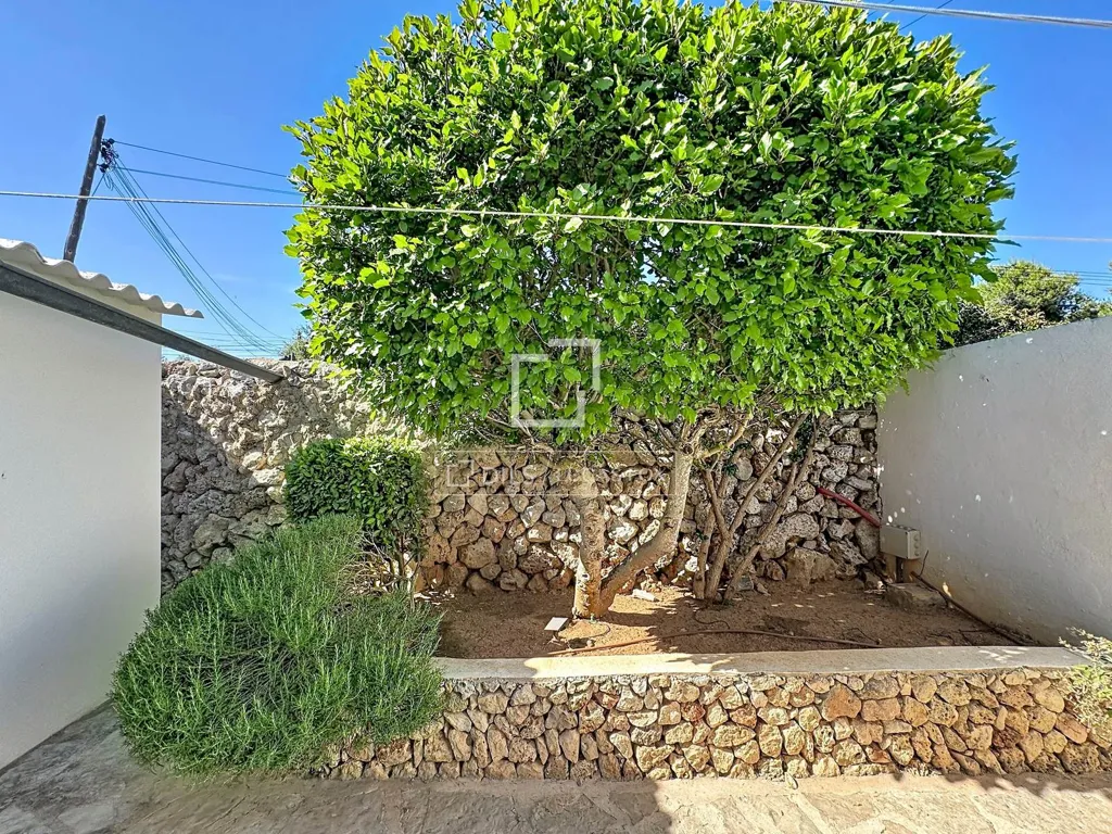 Jardin - 7-Bedroom Villa with Pool in Es Castell