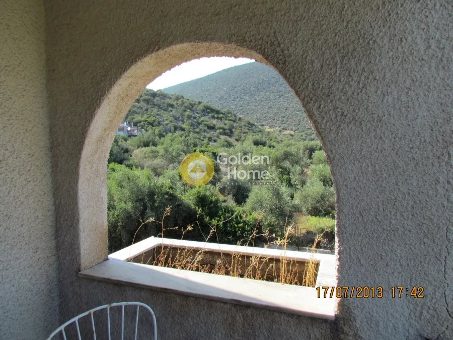 Terrass - Plot with Olive Trees in Skroponéri, Boeotia