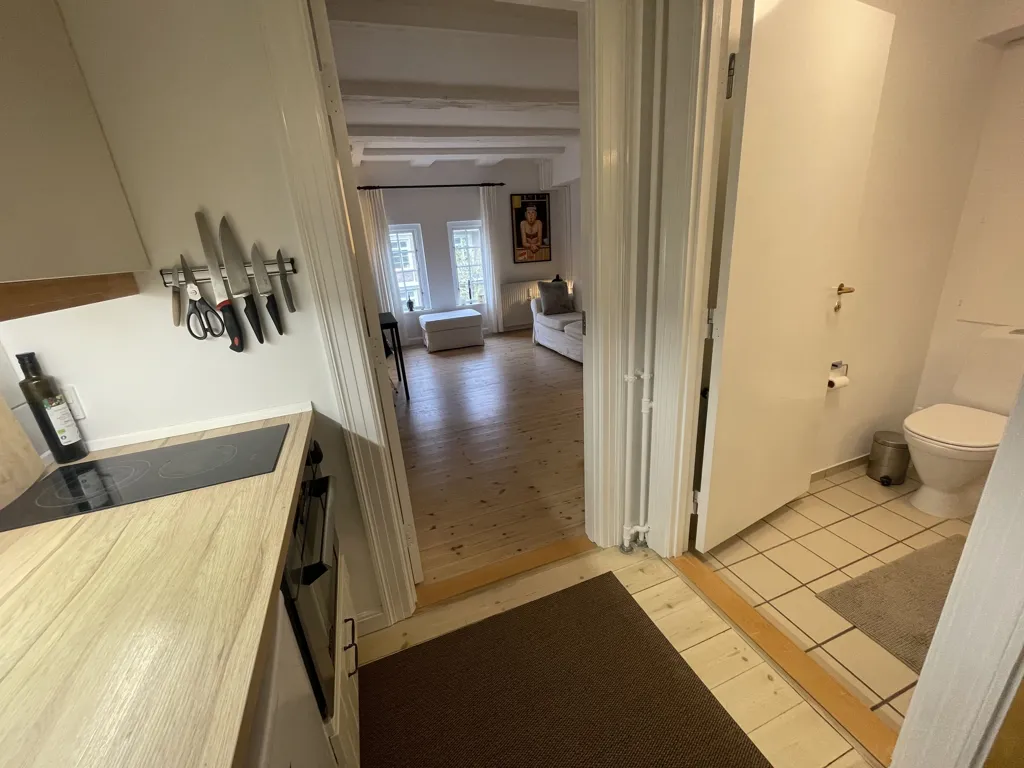Cuisine - Furnished Studio with Garden in Vesterbro