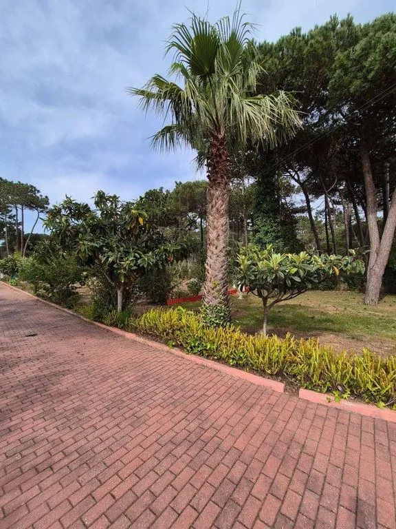 Exterior - Luxury House with Pool in Sintra