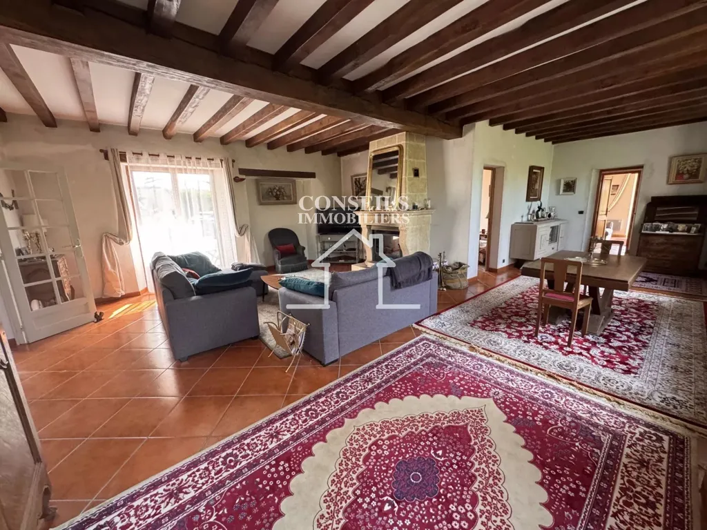 Séjour - Fermette avec Piscine et Jardin à Précy-sur-Vrin