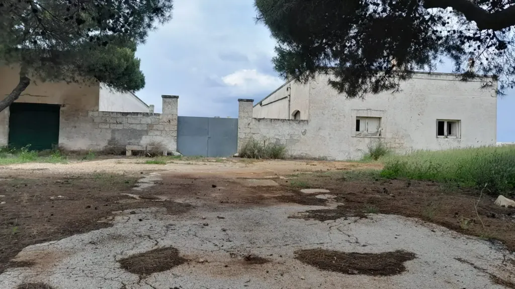 Extérieur - Rustic Masseria with Sea View in Carovigno
