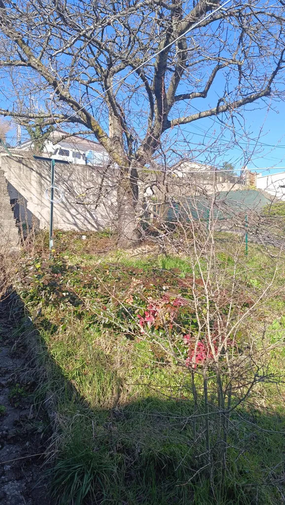 Jardin - Grange Plein Sud avec Terrain à Ceyrat