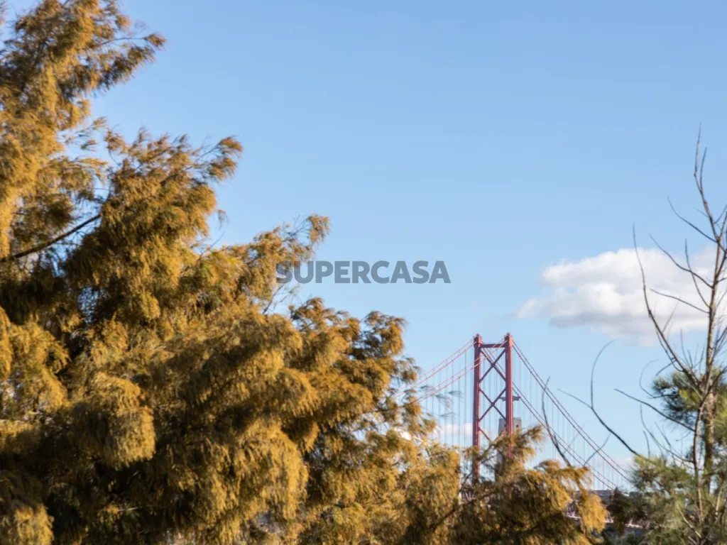 Luxury Flat with Pool in Hyatt Regency Lisboa