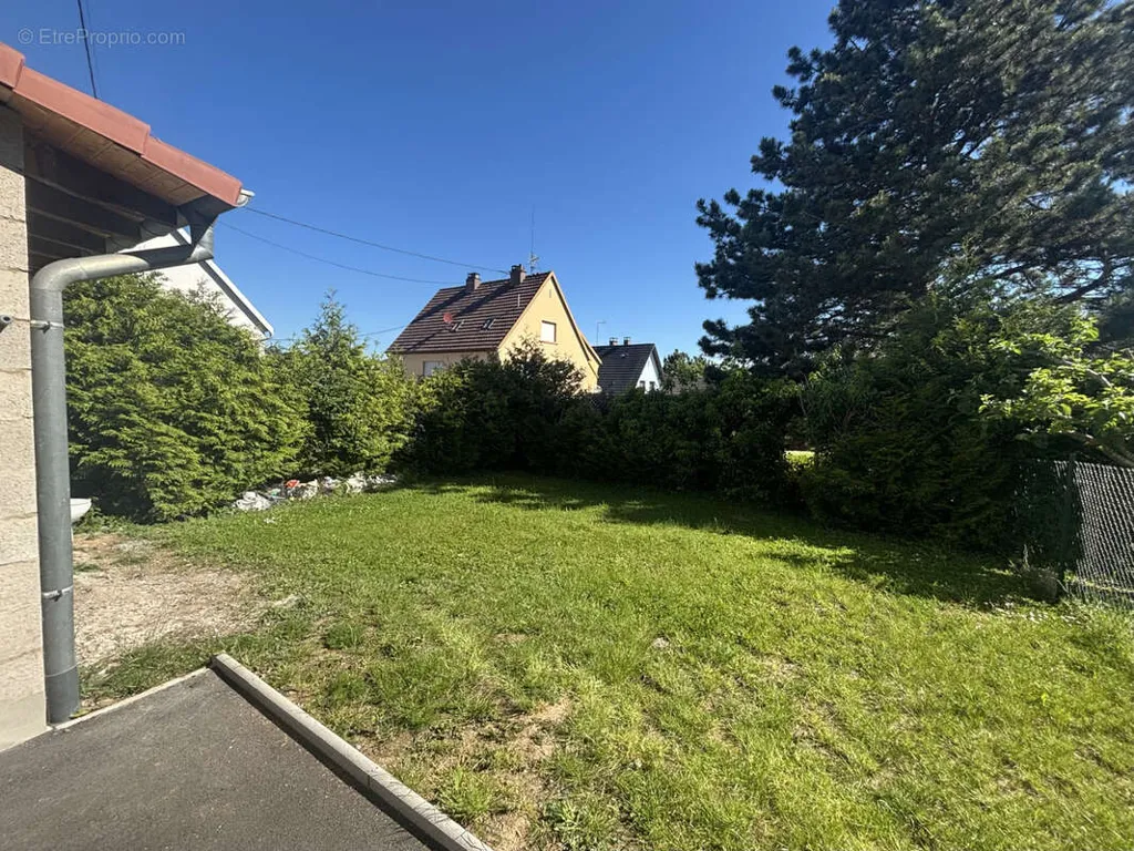 Jardin - Appartement 3 Pièces avec Jardin à Saverne