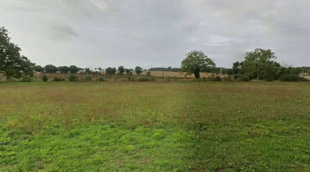 Giardino - Viabilised Plot with 22m Facade in Brux