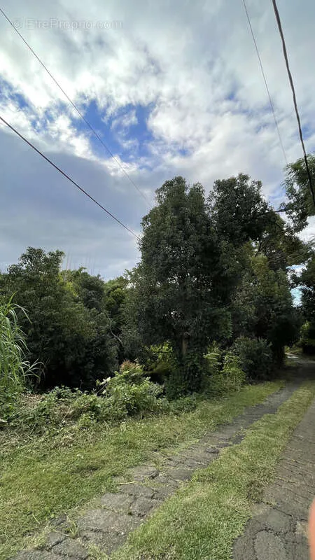 Aed - Buildable Land in La Confiance, Sainte-Marie