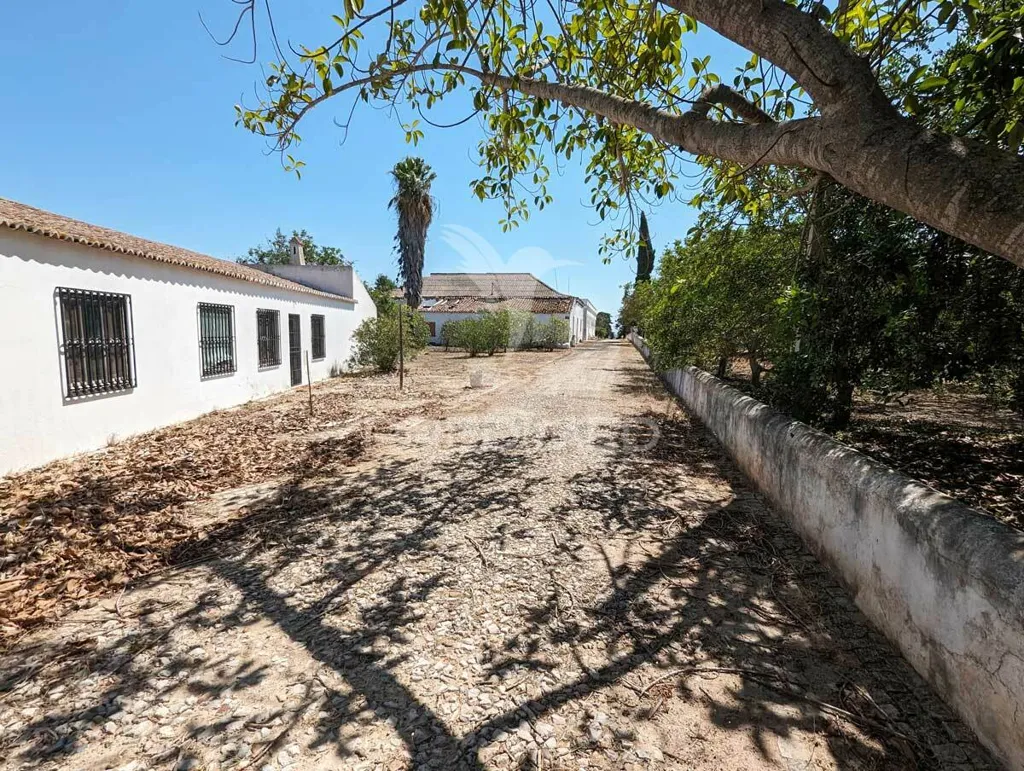 Extérieur - Herdade with Ruin in Castro Marim